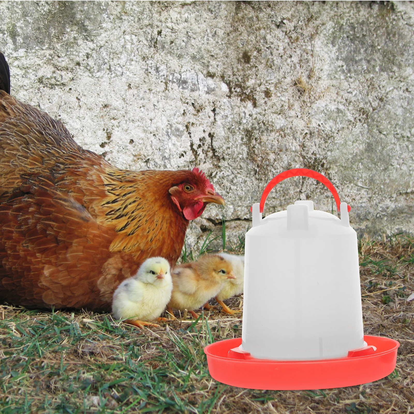 

Feeder Poultry Feeding Trough Food Pet Supplies Chicken Jar Dispenser Plastic Household Cage Automatic feeders for chickens