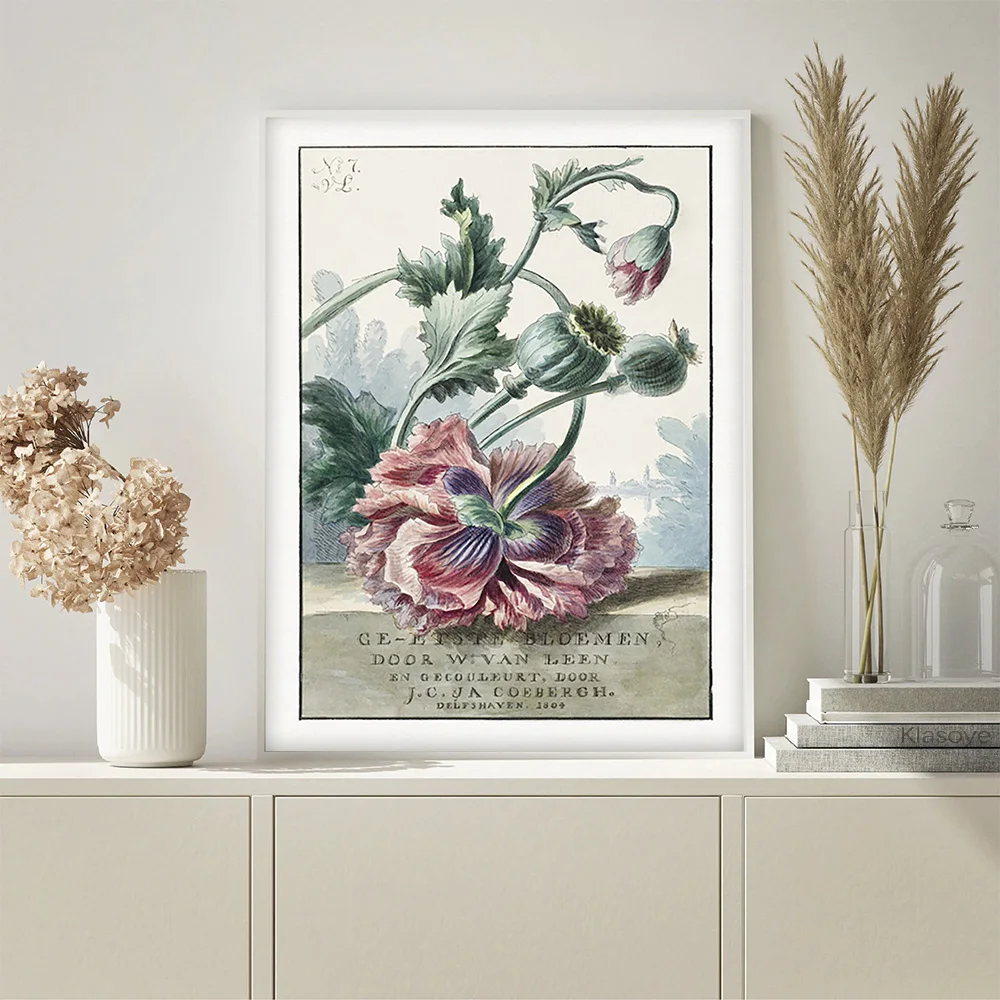 Виллем Ван Лен плакат маки винтажный художественный принт цветок ботанический