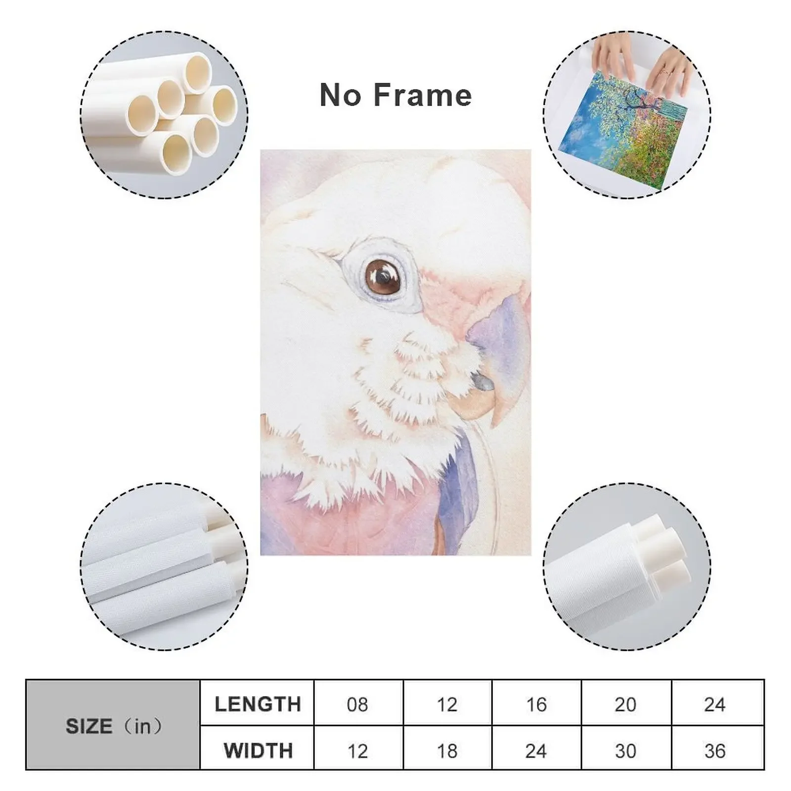 Goffin Tanimbar Corella Cockatoo акварельный портрет имя попугая Buckley холст живопись плакат