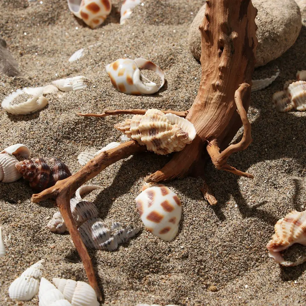 Аквариумное украшение для аквариума натуральный Древесный Ствол | Дом и сад