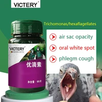 pigeon homing pigeon trichomonas white spots in the mouth mouth yellow bursitis pigeon probiotics 60 tablets