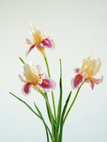 Необычное украшение для сада или даже устрашение#4