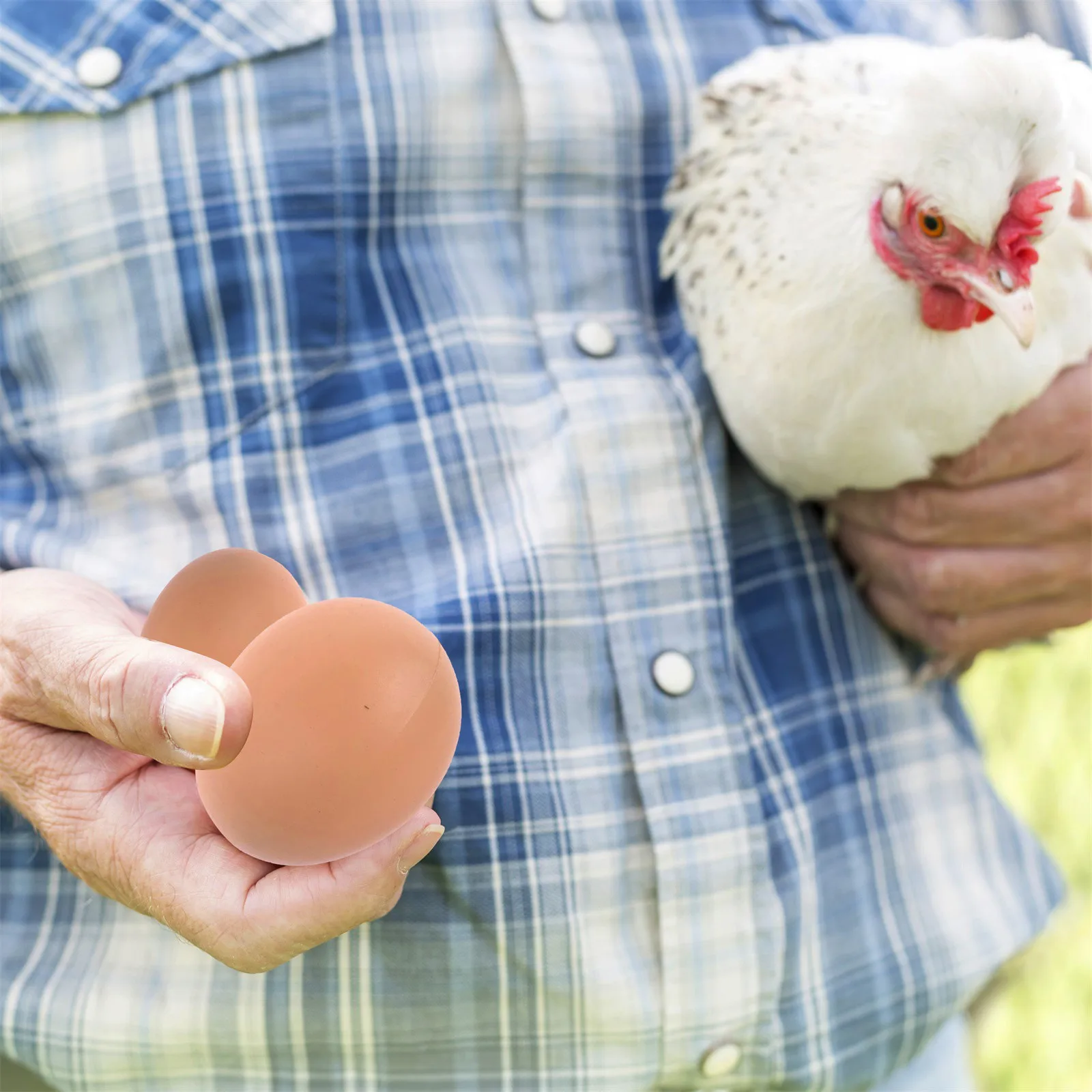 Недорогие искусственные деревянные курицы окрашенные яйца детские развивающие