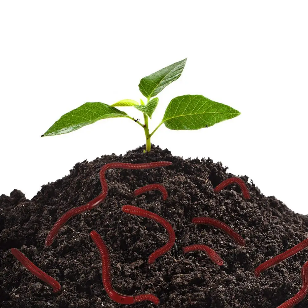 

10 шт., мягкие резиновые игрушки в виде дракона