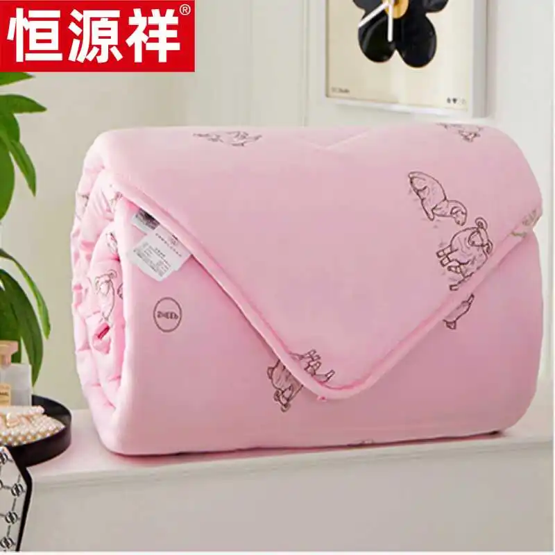 Hengyuanxiang Quilt Winter Duvet Insert Thickened Warm Student Dormitory Spring and Autumn Mattress Single Double...