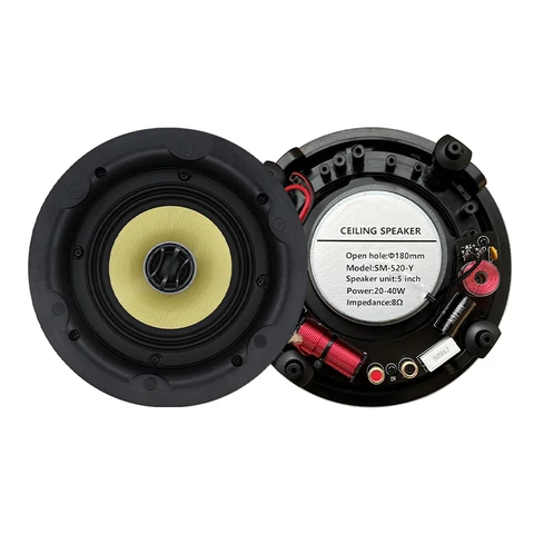 5,25 коаксиальный Высокоточный сабвуфер, Пассивный потолочный динамик полного диапазона, интеллектуальная звуковая система для домашнего фона, музыкального кинотеатра