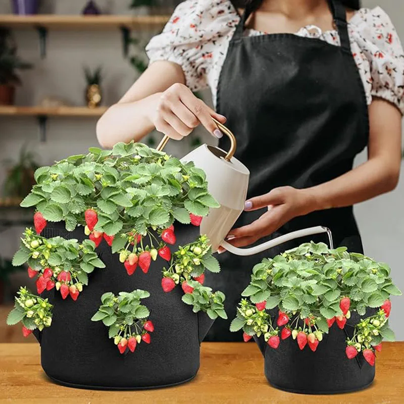 Сажалка для клубники сумка выращивания растений дышащая фетровая с 6 боковыми