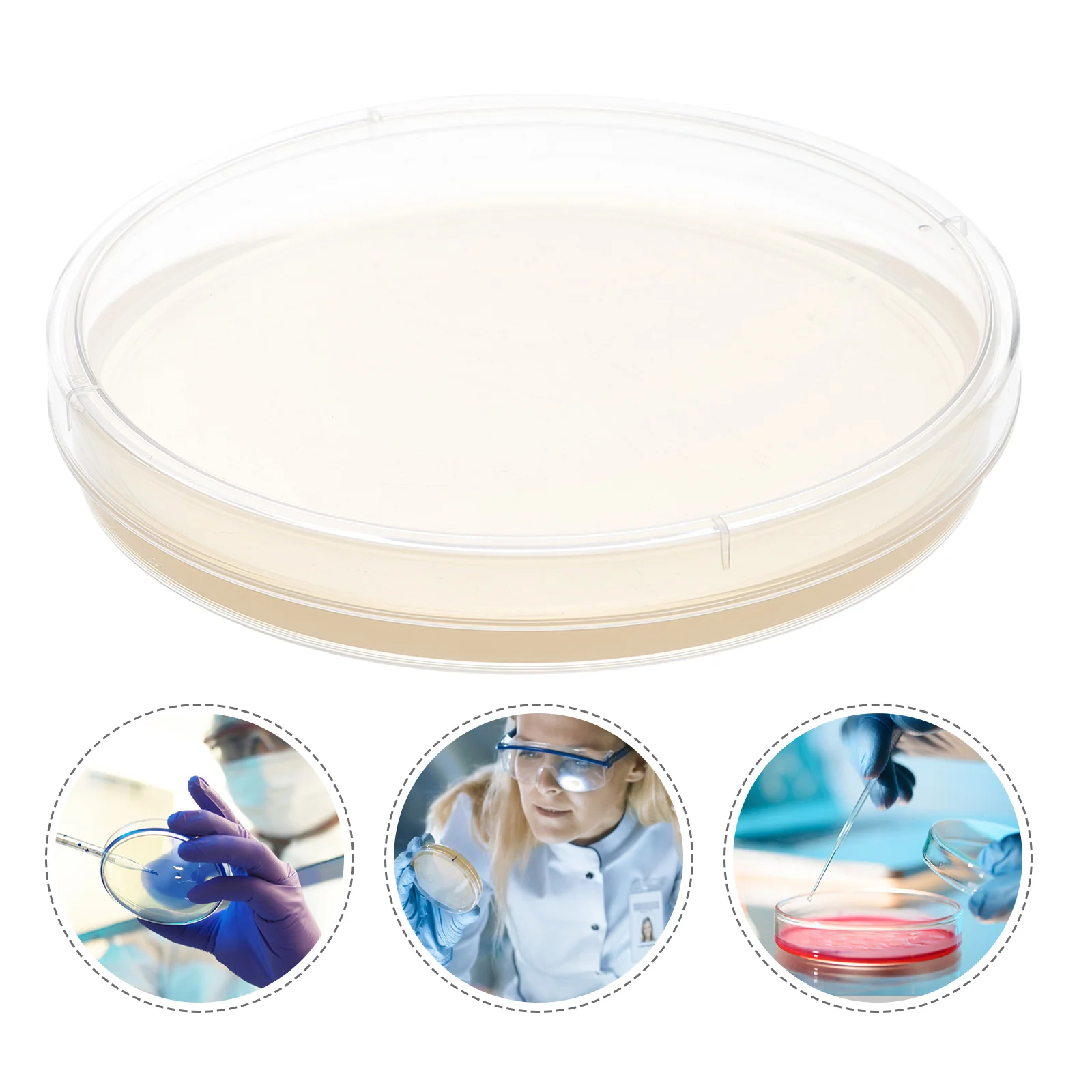

10 Pcs Suite Nutrient Agar Plate Child Glass Straw Kids Science Fair Project Kit