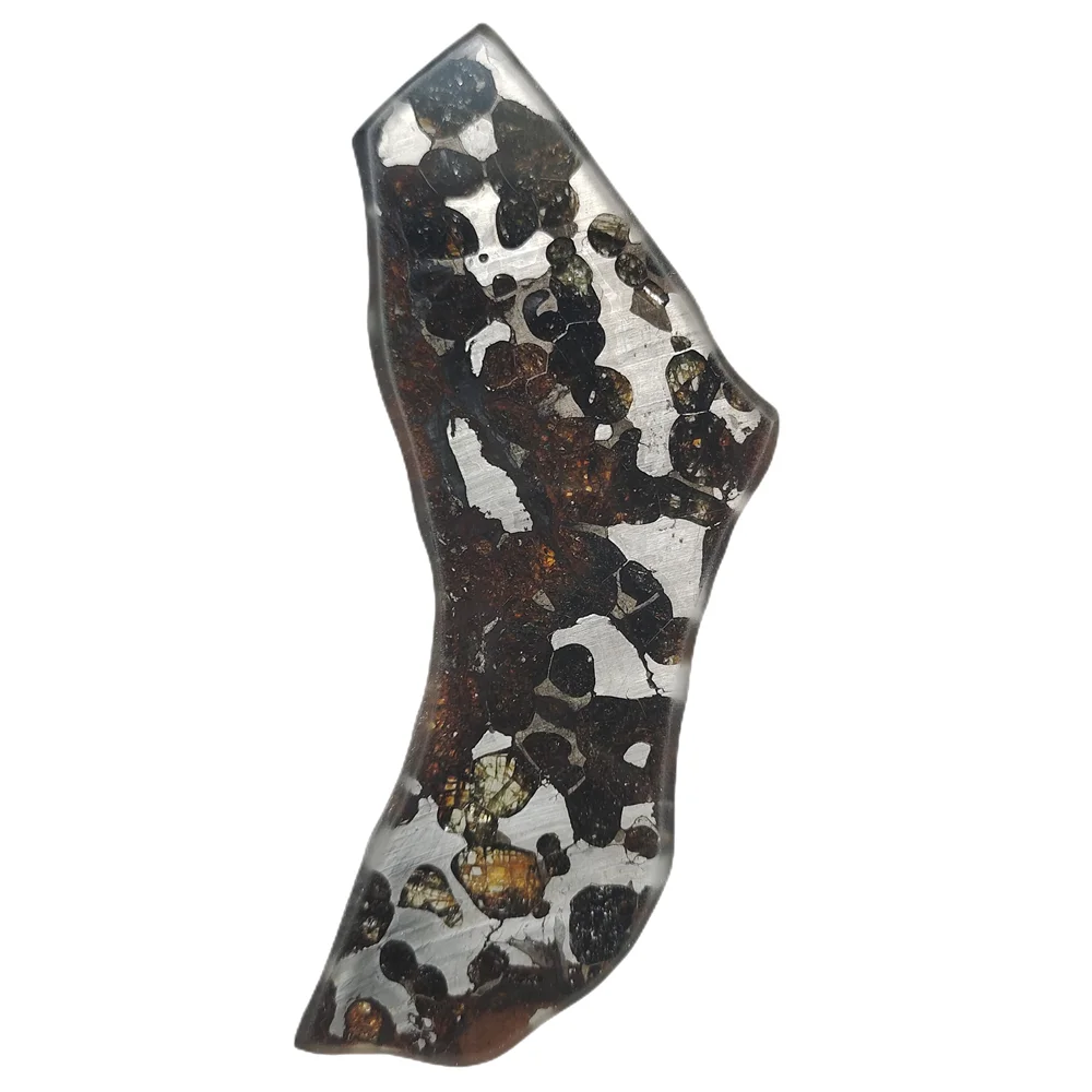 

Brenham Olivine Meteorite Section Olivine Meteorite Specimen Natural Meteorite Specimen Collection