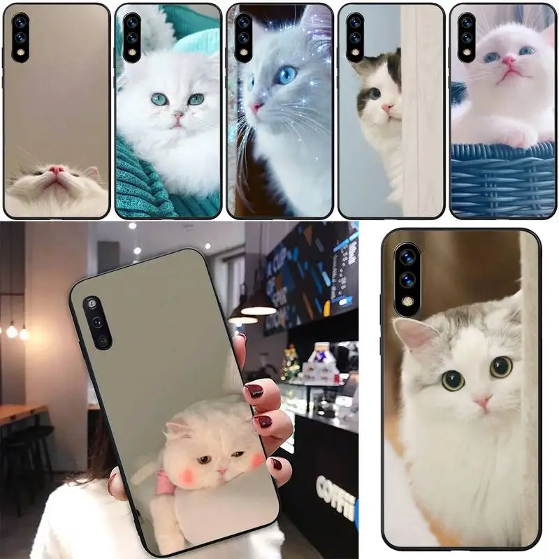 

Cat Cats Cute Phone Case For Xiaomi 11 10 12Spro A2 A2lite A1 9 9SE 8Lite 8explorer F1 Poco 12S Ultra Cove