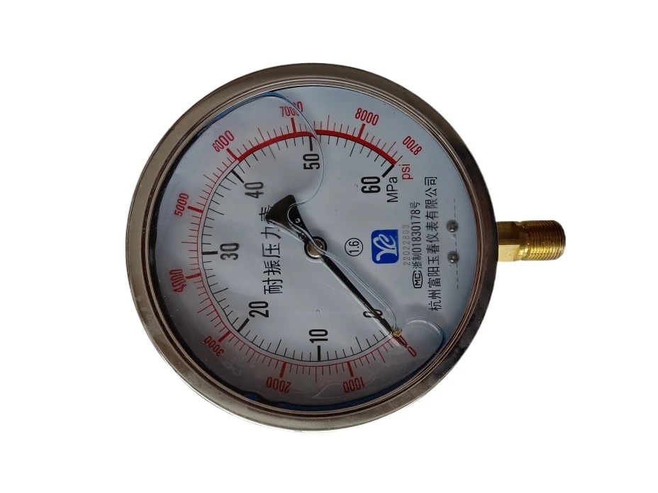 YN150 1.6/25/40/60mpa Fuyang shock-proof pressure gauge vibration-proof oil Y-150