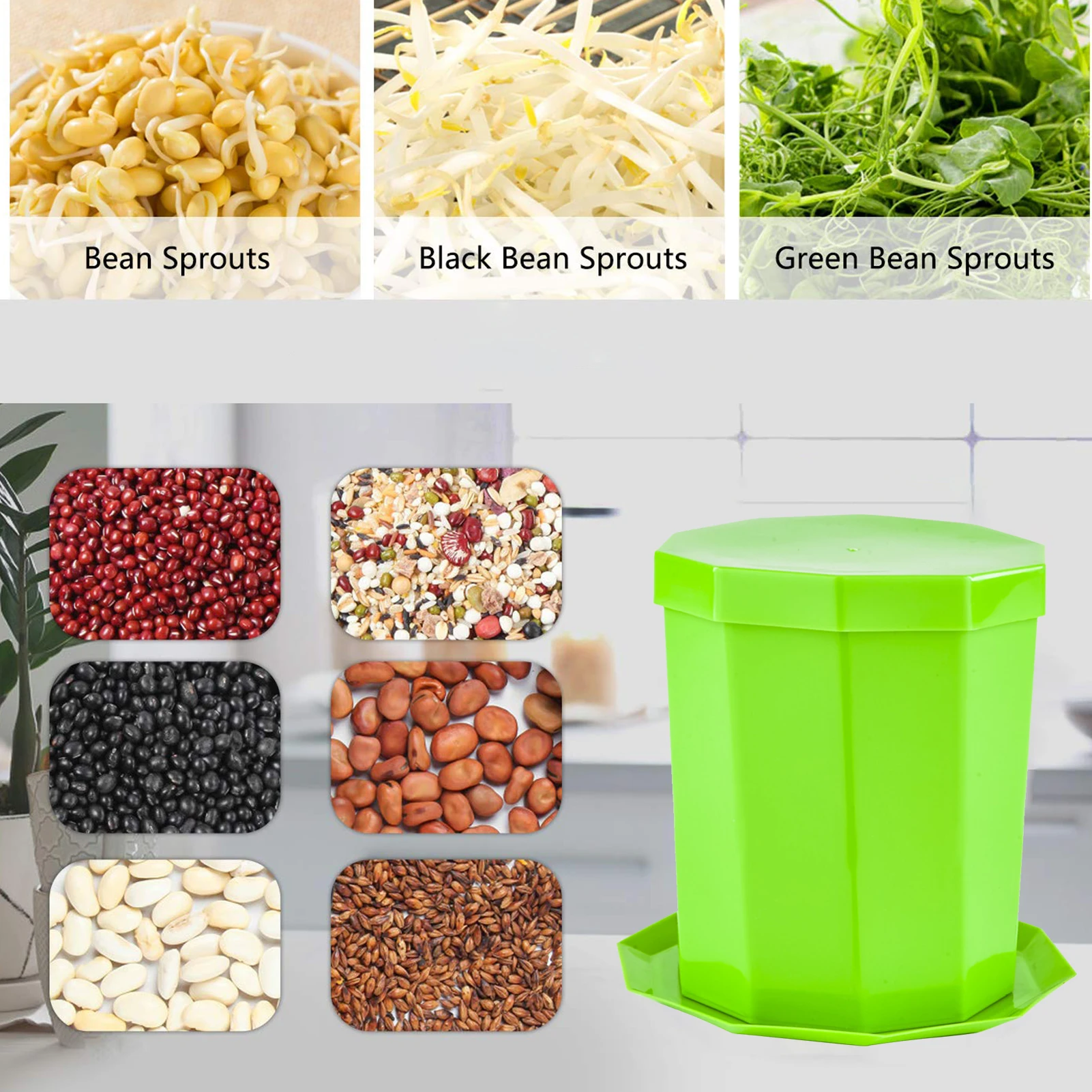 

Plastic Sprout Plant Pot Box Bean Pea Germination Seedling Tray Wheat Grass Cat Grass Nursery Growing Germination Kit