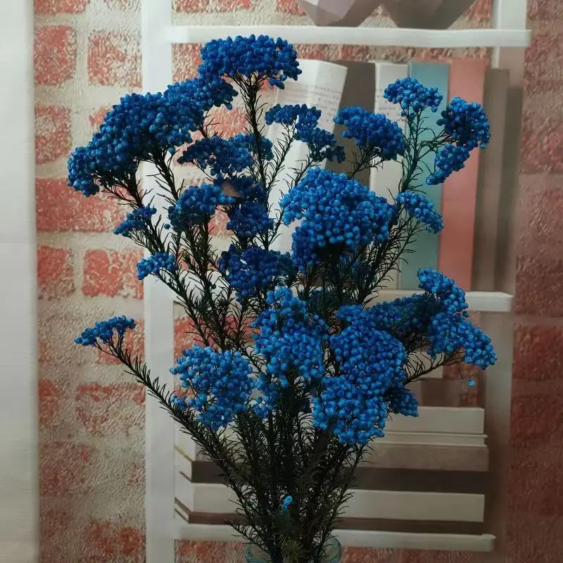 

50g atural Millet Fruit Dried Flower Christmas Decorations For Home 2022 Christmas Garland Free Delivery Of Cheap Goods Valentin