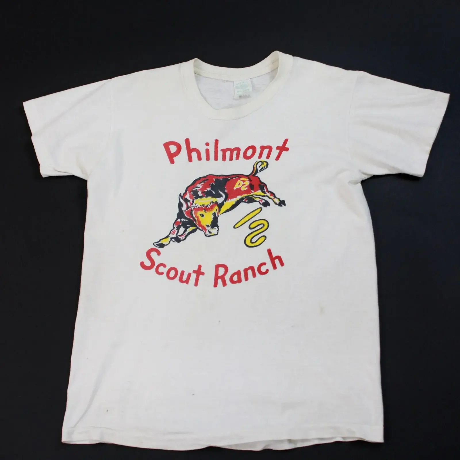Фото Футболка Philmont Scout Ranch, винтажная, дышащая, удобная, в стиле стритвир, эластичная, универсальная, унисекс, модная, с графическим принтом №1