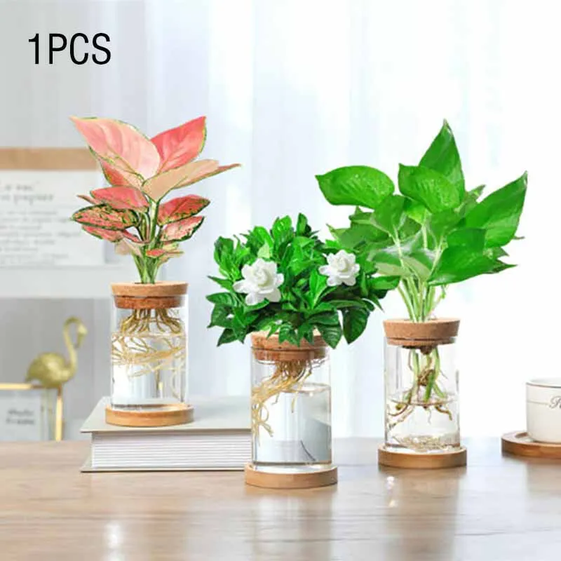 

1x гидропонная ваза для цветов Terrarium, стильная стеклянная бутылка, деревянные пробковые настольные вазы для цветов, украшение для офиса, стол...