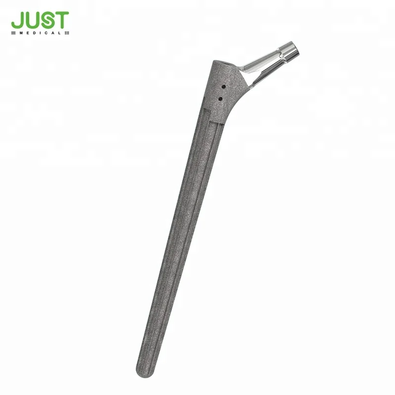 

Zimmer Wagner RSL revision femoral stem Hip Joint Replacement Prosthesis