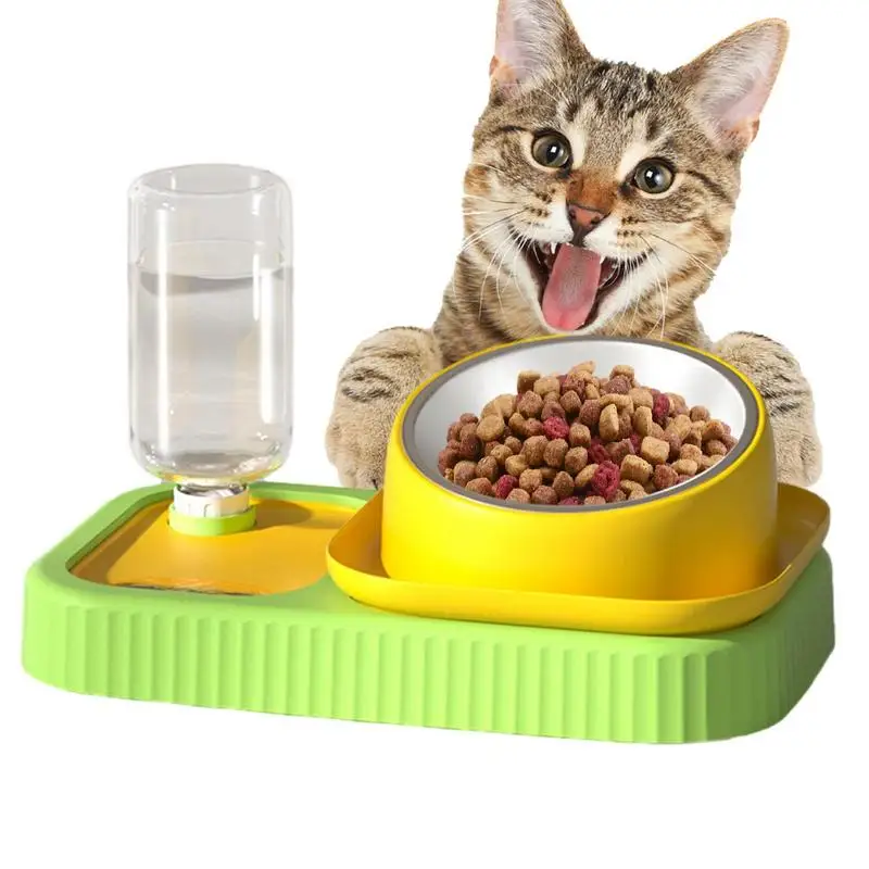 

Набор для кошек, двойные миски для собак, наклонная нержавеющая сталь, семейная еда и миски для воды, миски для кормушки, семейная миска для с...