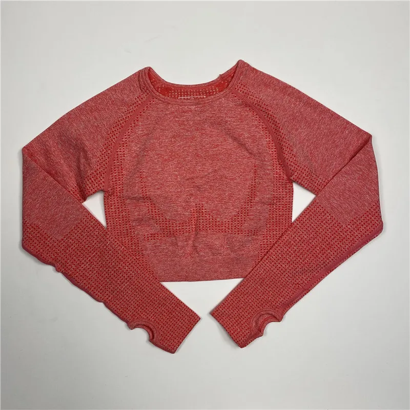 Seamless Yoga Shirts Crop Top Long Sleeves Shirts For Women Yoga Sports Fitness Gym Cloth Workout Tops Fitness Sports Shirts