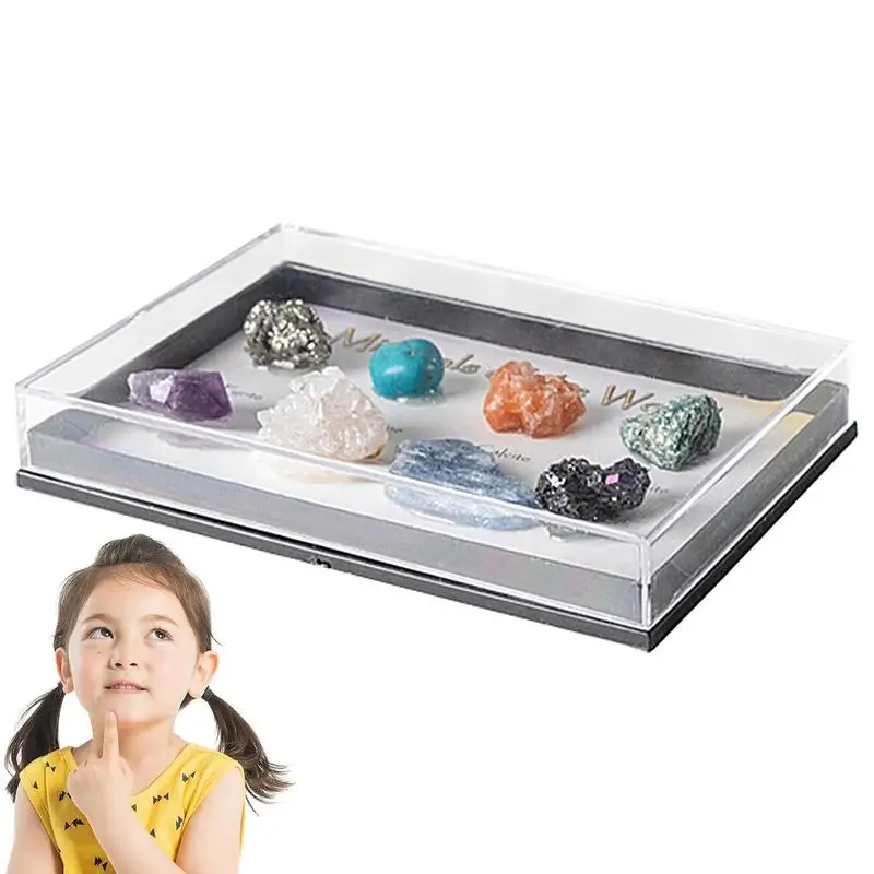 

Образцы руды, образцы минералов, стебель, Геологическая руда, коллекция с информационной деталью, 8 реальных геологических камней, научный набор, подарки для мальчика