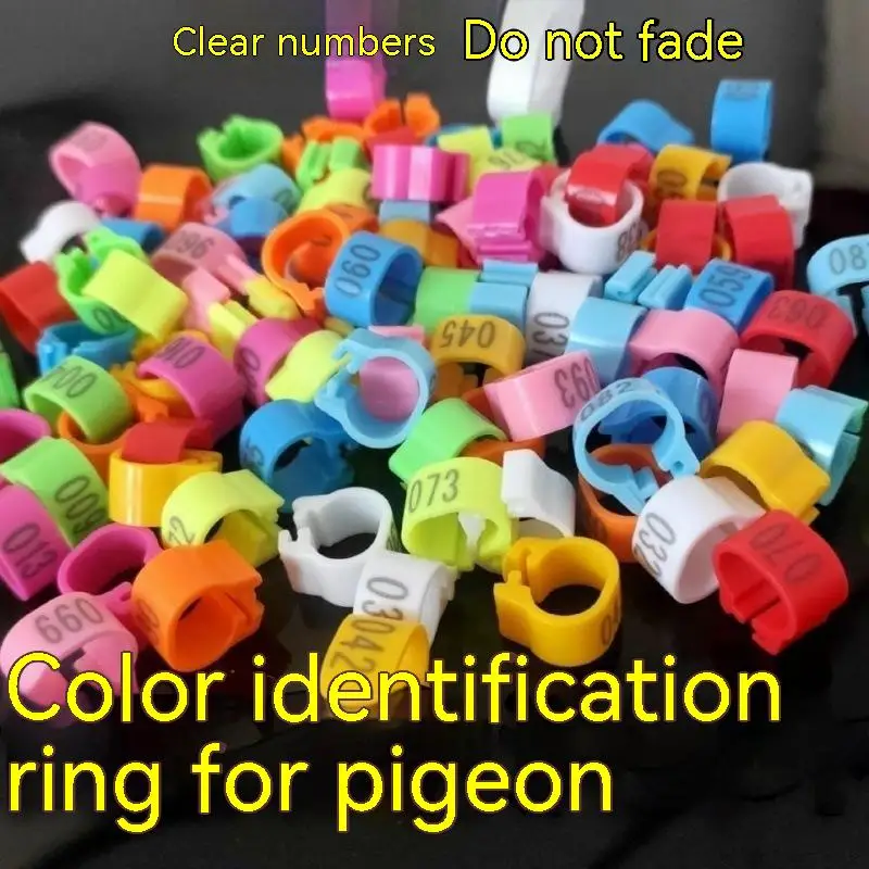 100 Pcs 2023 Aluminum Plastic Pigeon Foot Ring With Number Letter Bird Leg Sign Rings Fly Race Identification Circle Pilgrims