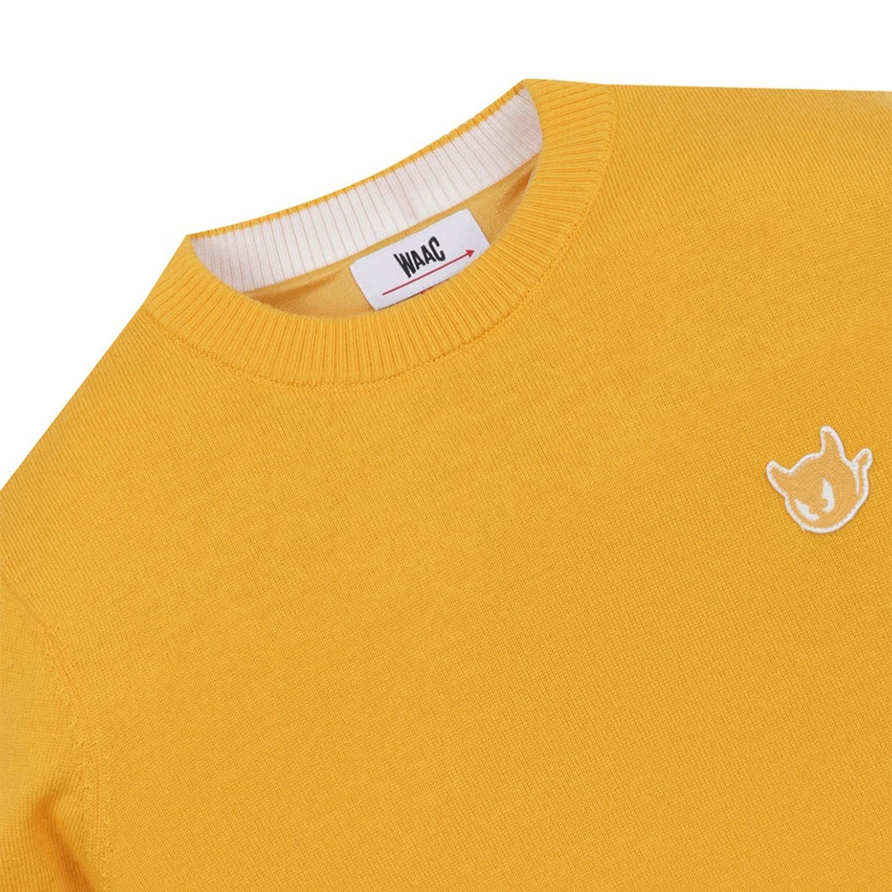 Бренд Charm женский теплый вязаный свитер модный дизайн осенний топ для гольфа