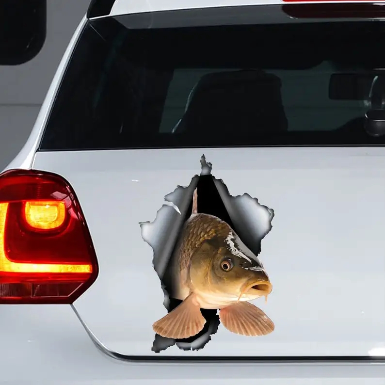

Carp car decal, Carp magnet, Carp sticker, Carp car decal