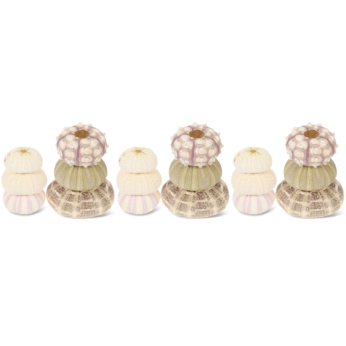 

18 Hanging Urchin Shells Natural Planting Holder Air Plants Pot Gardening Decorations