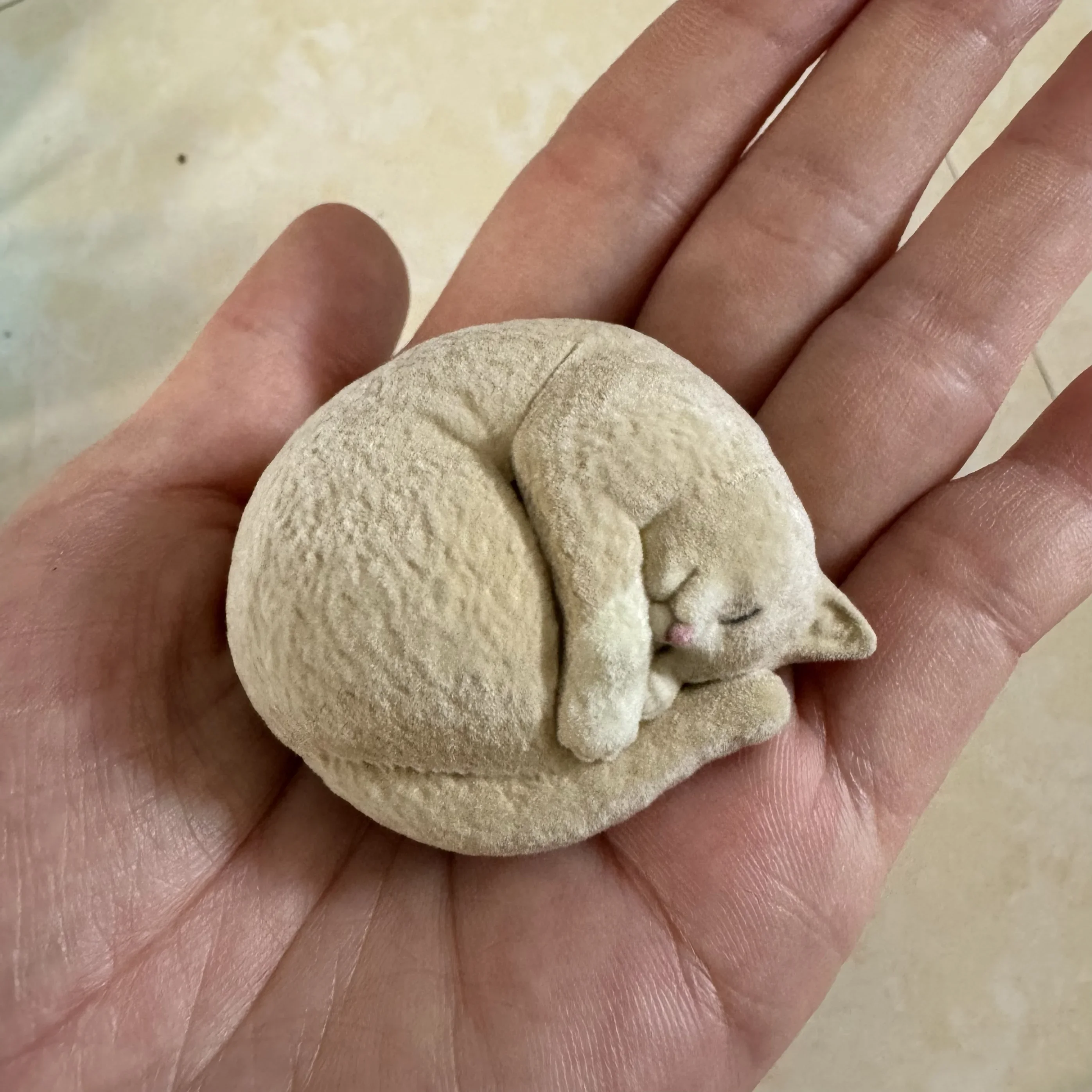 

Флокированный серый спящий кот