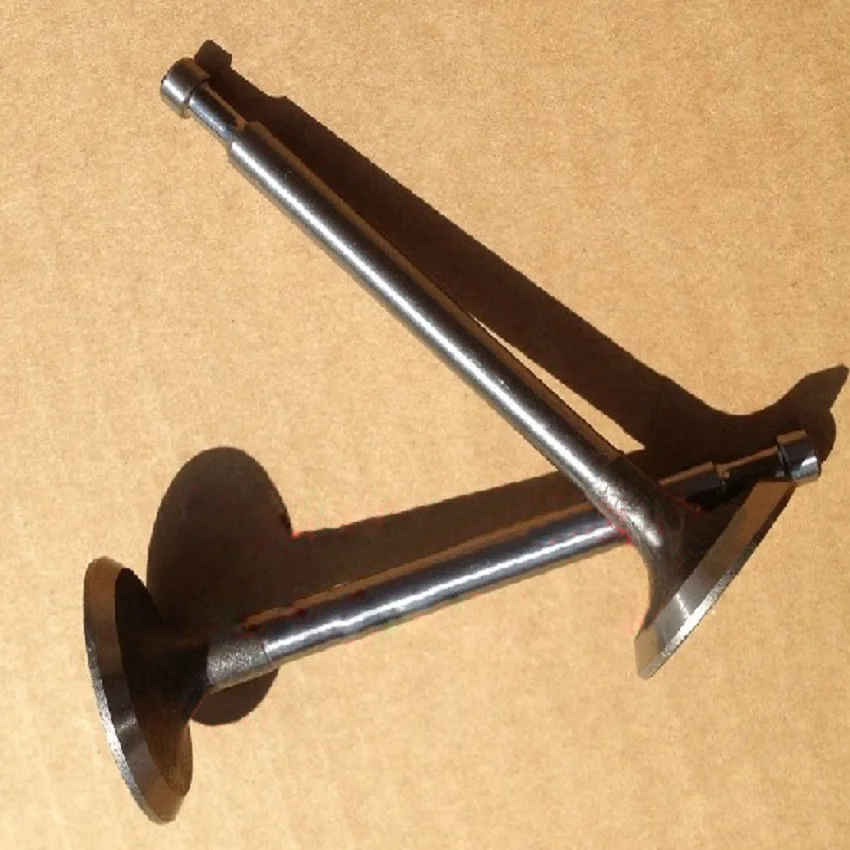 

EY28 RGX3500 Engine Intake Exhaust Valve for Robin Generator