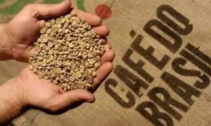 Бразилия Peaberry Moka 12 Up Арабика сырой кофе в зернах-1 кг | Дом и сад