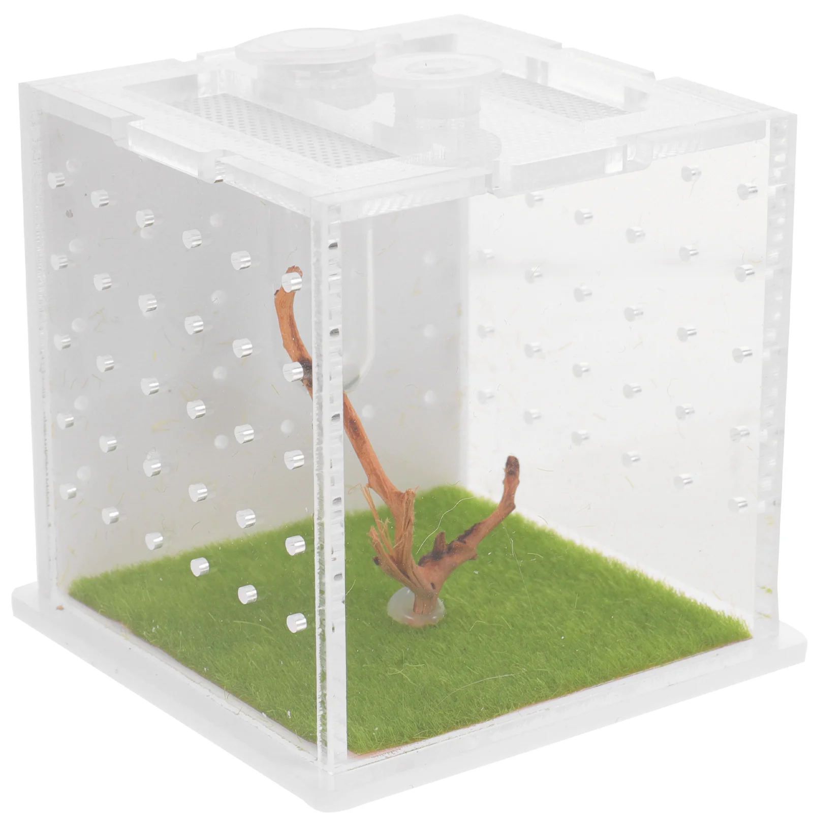 

Prison Break Reptiles Pet Supply Spider Feeding Case Insect Container Acrylic Habitat Cage Anti-escape Storage