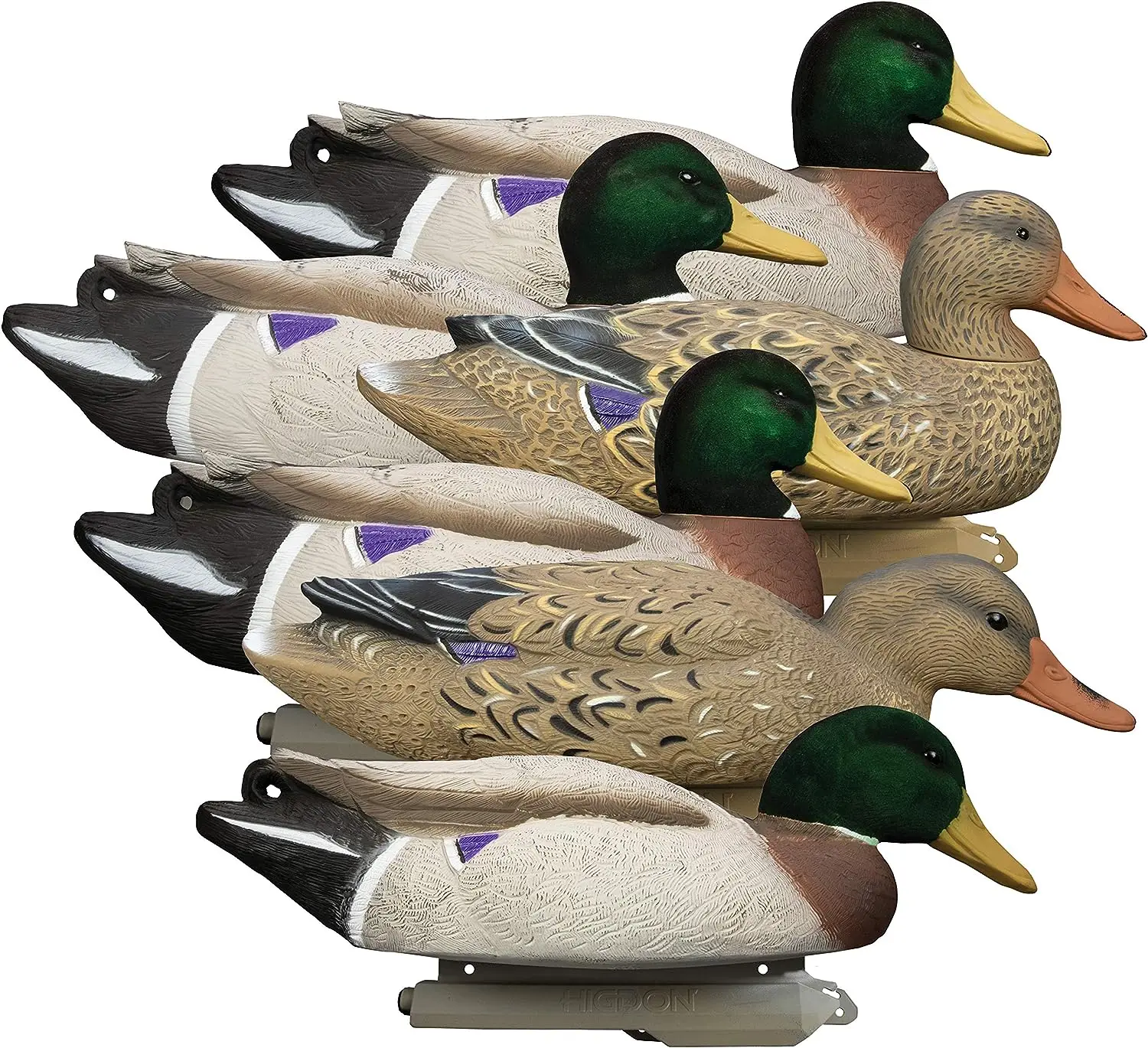 

Mallard Decoys, Foam-Filled, Flocked Heads