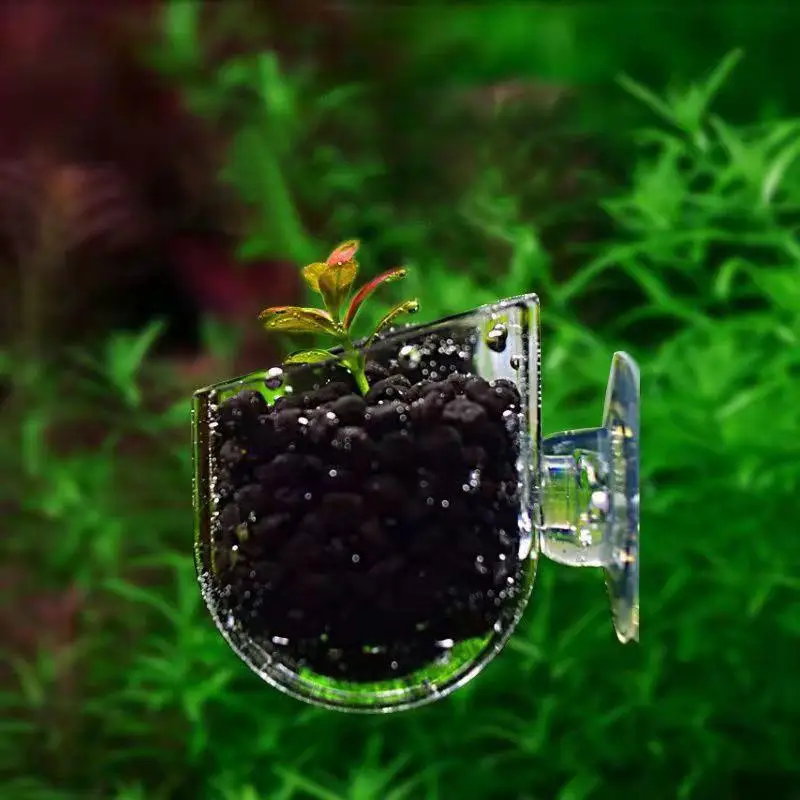 

Aquarium Blood Worm Cup Grass Pot Shrimp Cup Moss Cup Feeding Accessory Acrylic Transparent Hanging Aquarium Decoration