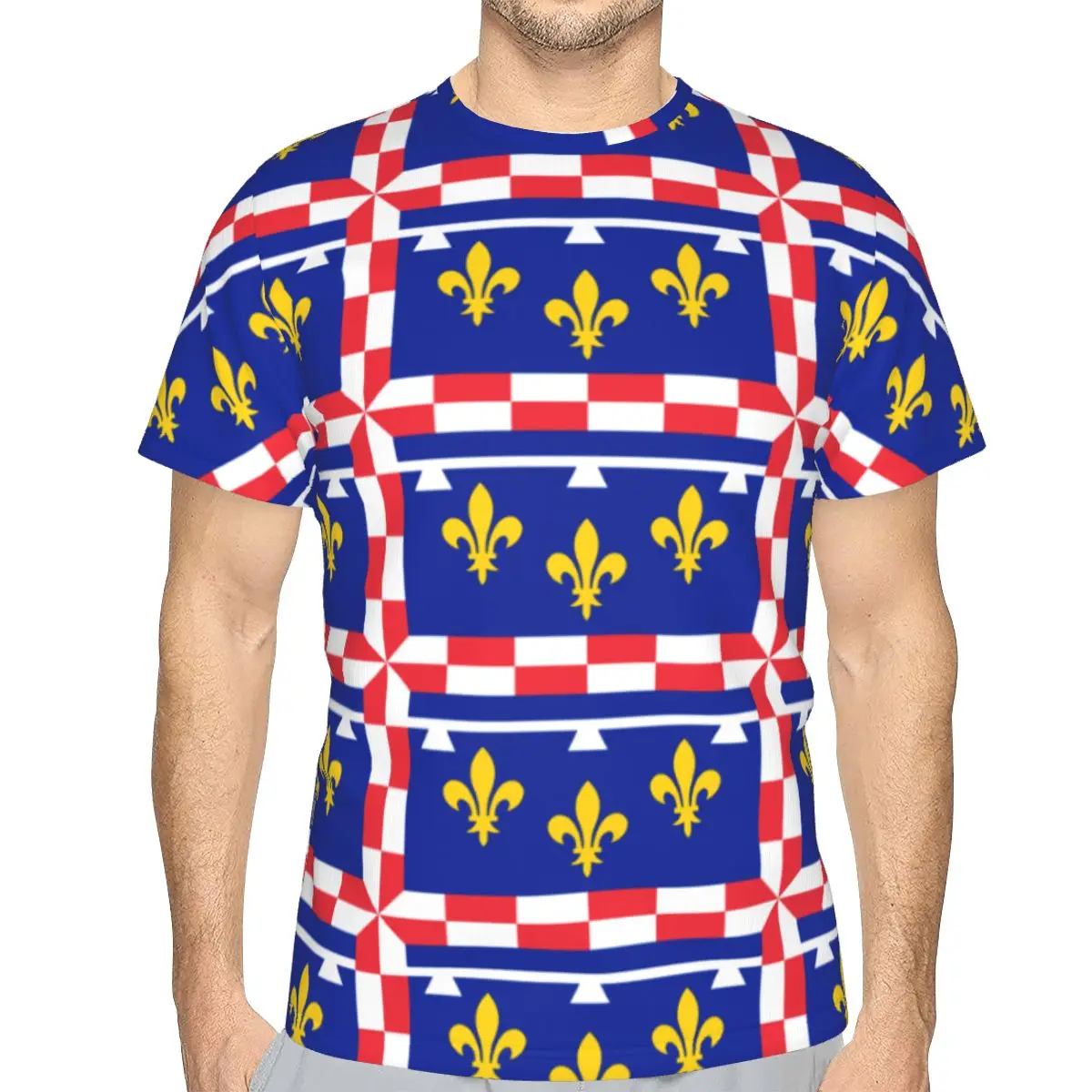 

Flag Of Centre-Val De Loire premium Men's T Shirt Print Flags of the regions of France Funny Novelty Tees Tops European Size