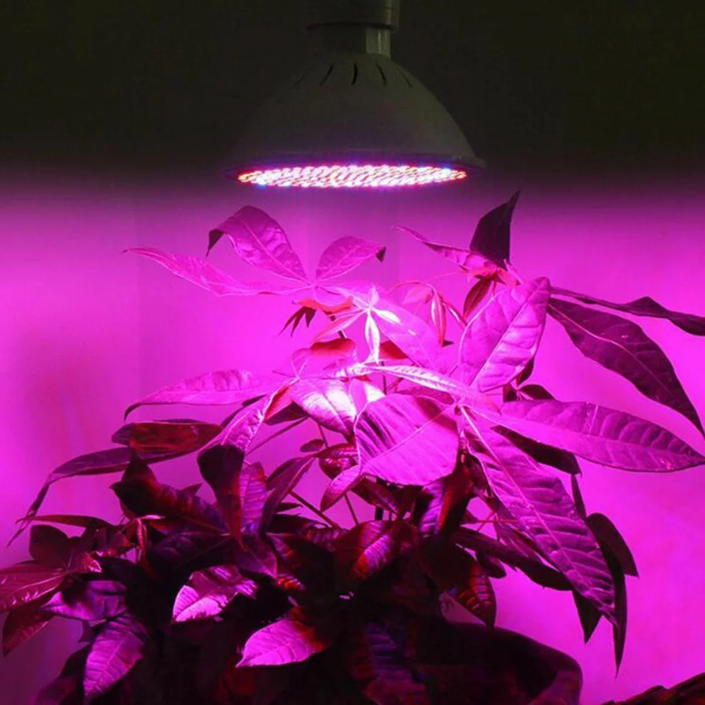 Цвет ламп для растений