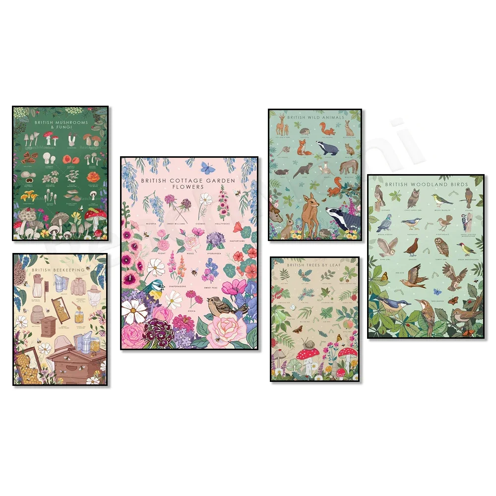 UK nature guide wildlife poster lakes and ponds beekeeper's garden birds sea life insects butterflies wildflowers