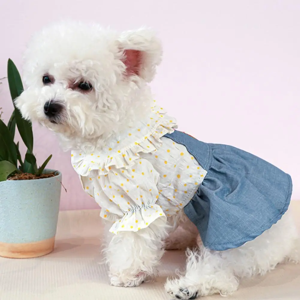 

Dog Skirt Fashionable Bear Pet Teddy Dress Skirt Sweet Style Lightweight Teddy Dress