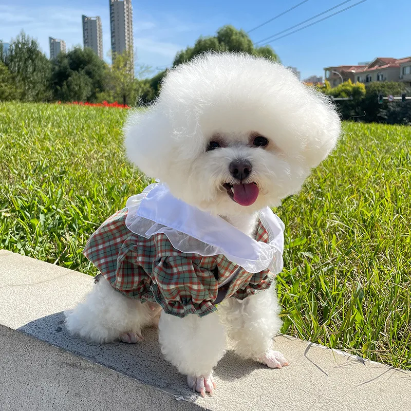 Новинка одежда для собак Ins кружевная рабочая мишка тедди корги маленькая собака