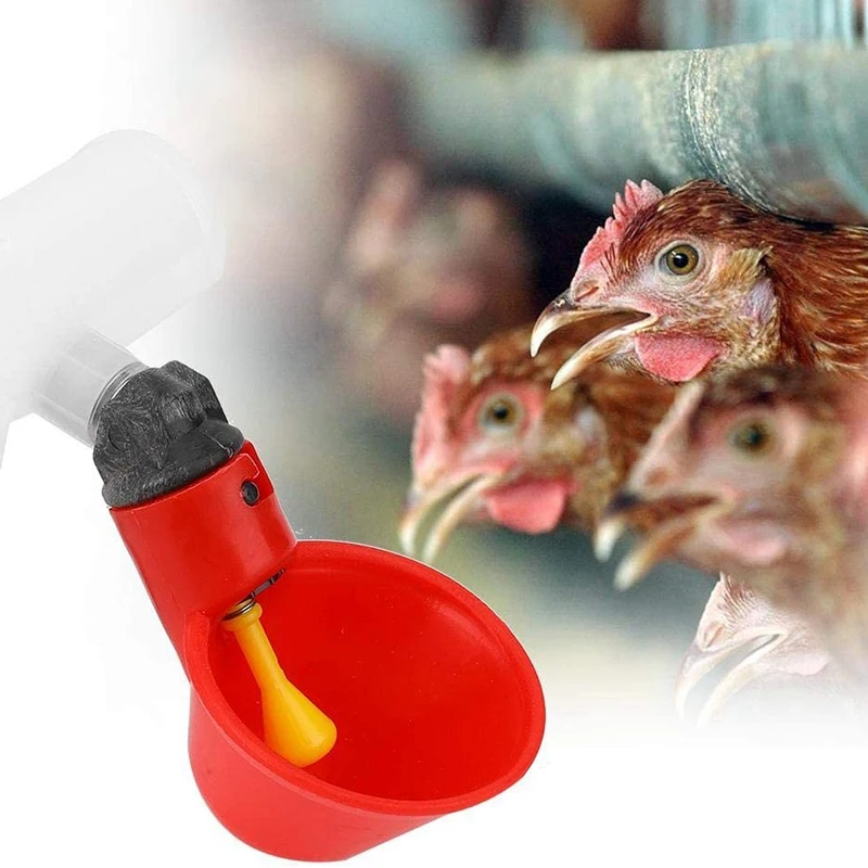 10 шт. автоматическая поилка для цыплят из красного пластика