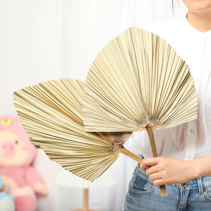 

1PC Palm Leaf DIY Art Wall Hanging Decoration Natural Dried Flower Arrangement For Party Wedding Arch Party Home Decoration