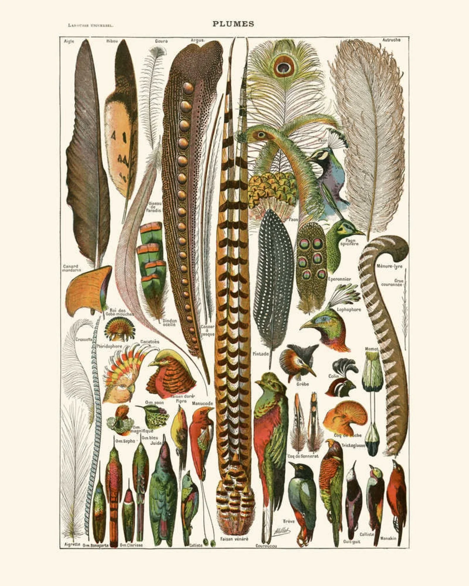 

Картина на холсте Морская жизнь Рыба Иллюстрация Античная Растительная живопись плакаты и принты абстрактные декоративные Плакаты для дом...