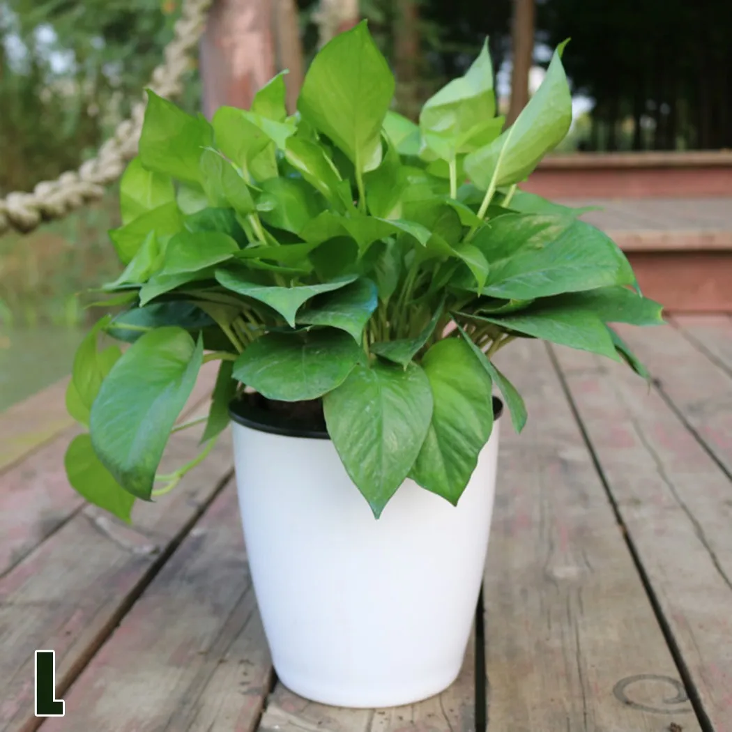 

6 Size Lazy Flower Pots Outer & Inner Pots Imitation Porcelain Series Garden Plastic Self-Watering Flowerpot With Cotton Rope