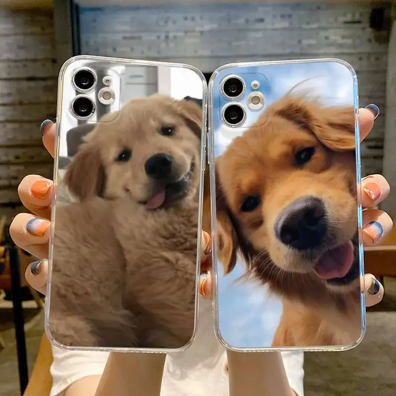 

cute golden retriever Phone Case Transparent For iphone 13 12 11 14 Pro Max Mini X XR XS 7 8 plus 13 14 max phone Covers