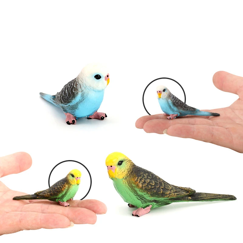 

Children's Early Cognitive Animal Toys Simulation Wild Animal Model Budgerigar Birds Flying Birds Static Solid Kids Plastic Toys