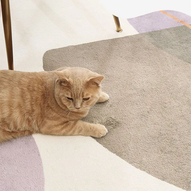 Ковер для гостиной из бархата ягненка и полиэстера современный домашний