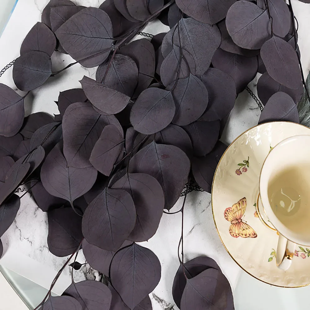 Сушеные листья эвкалипта YN HI FLOWER ENJOY YOUR LIFE