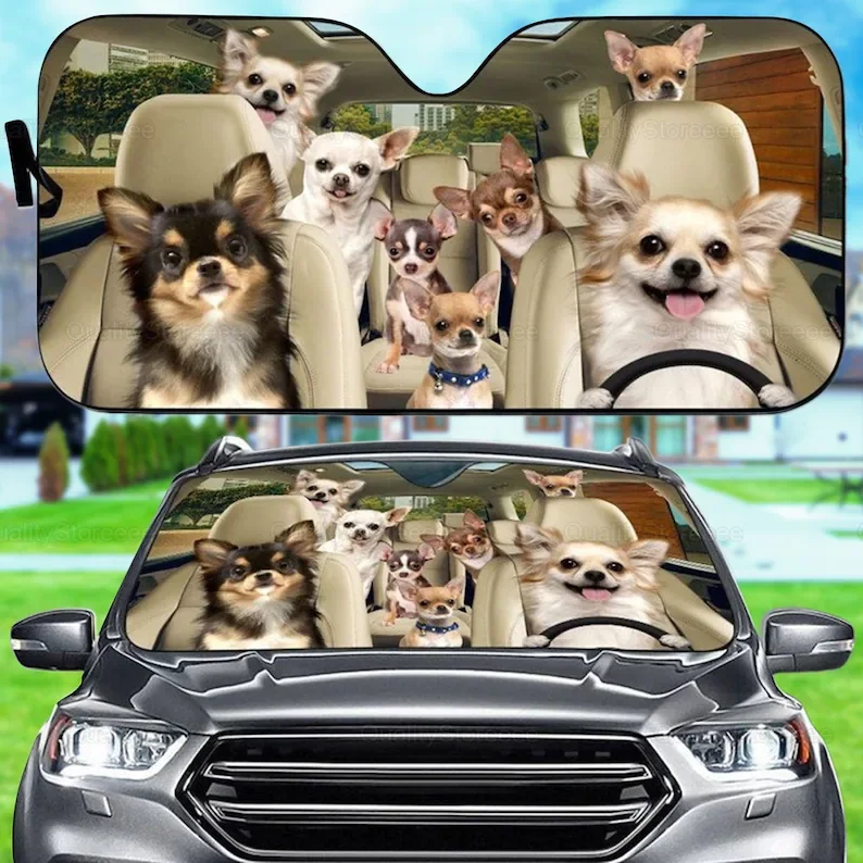 

Забавный автомобильный солнцезащитный козырек чихуахуа, семейный козырек для собак, автомобильные аксессуары для собак, украшение автомобиля, подарок для папы, мамы, подарок владельца собаки LNG18