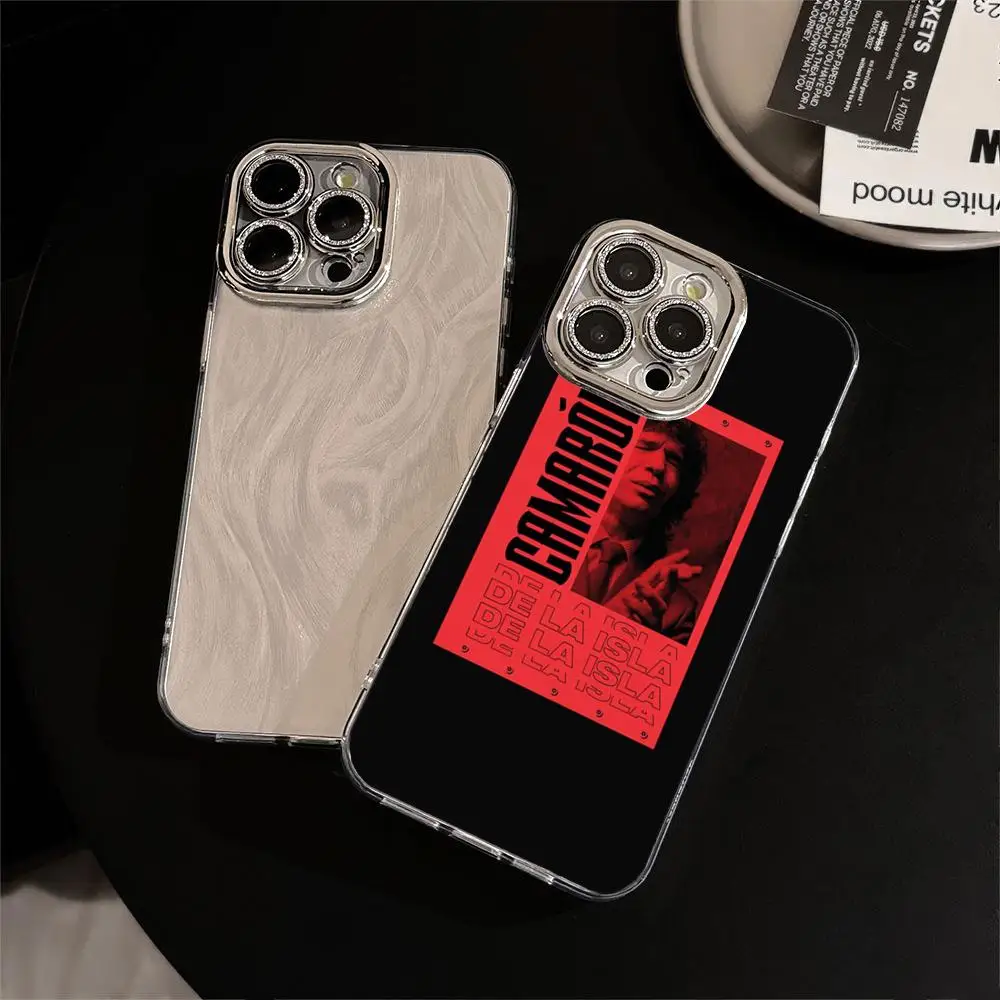 Фото Суперпопулярный чехол для телефона с дизайном в стиле Камарон для iPhone 17 16 15 14 13 12 11 Pro Max Plus, с перьями и лазерной гравировкой №2