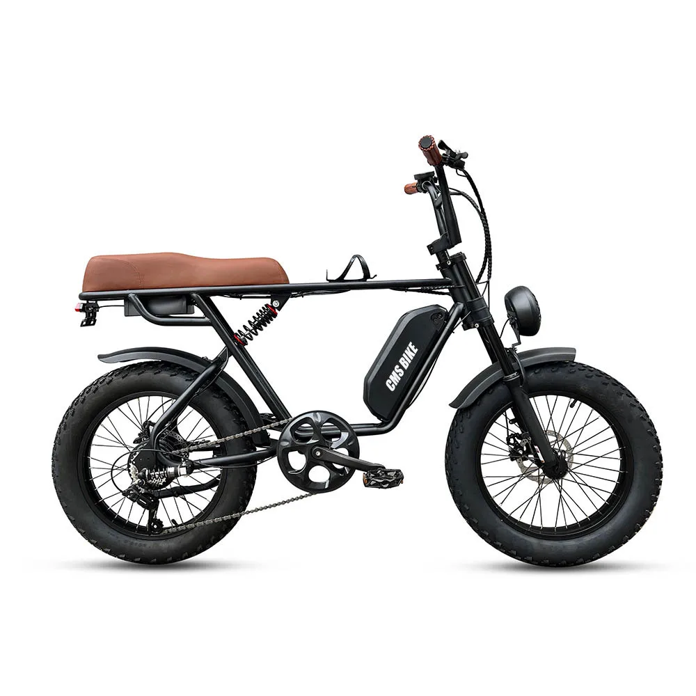 

Electric Snow Bike Electric Bicycle Variable Speed Power Beach Mountain Motocross 20 Inch Fat Fetus Spring Fork Safety