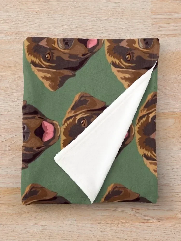 Плед шоколадный лабрадор одеяло для дивана кровати декоративные диваны в клетку